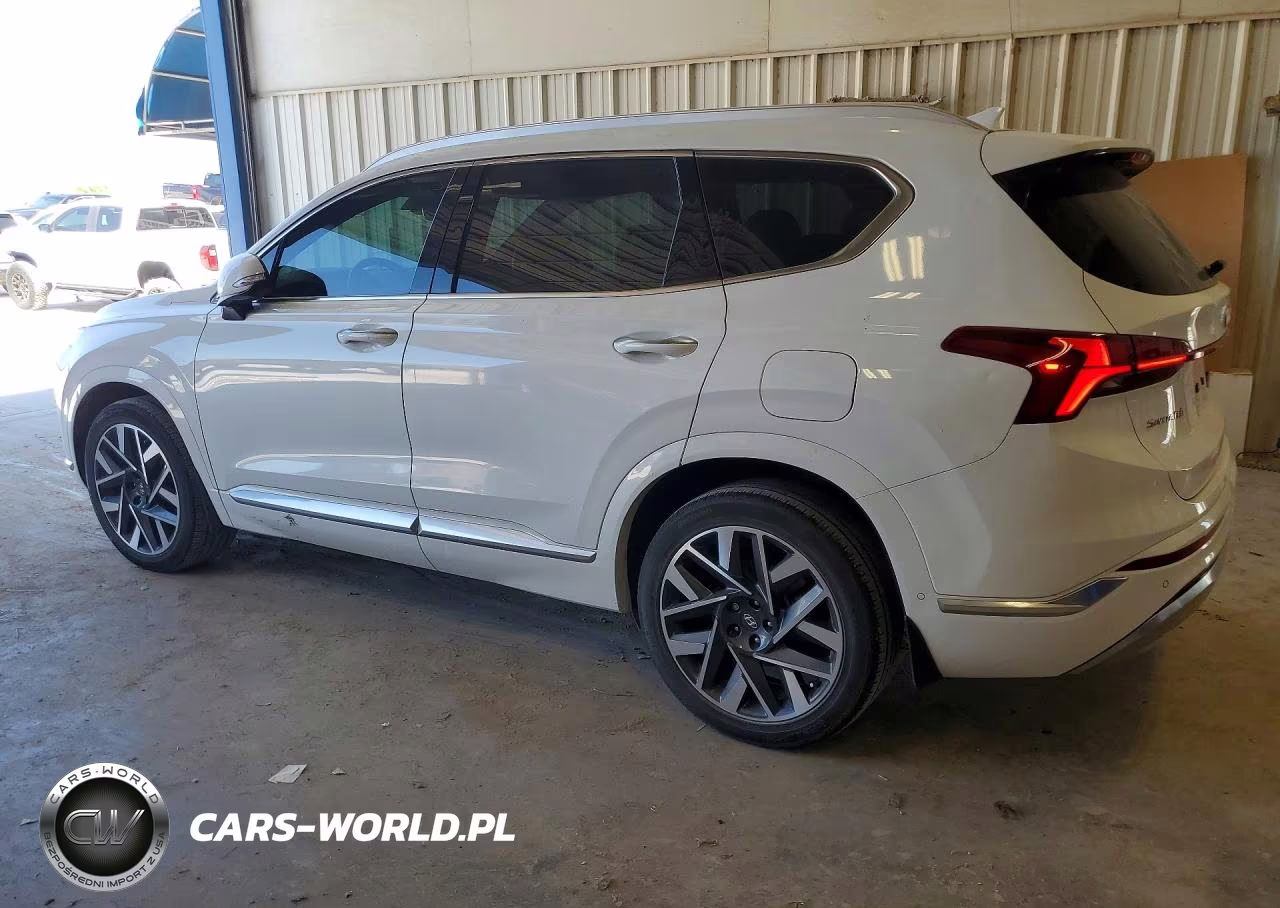 2023 Hyundai Santa Fe Calligraphy VIN:5NMS54AL3PH554833 - 2