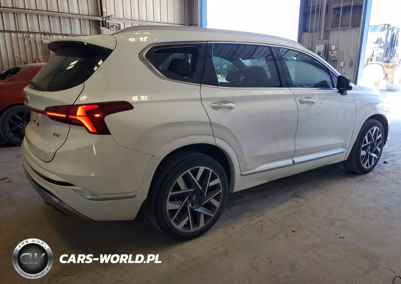 2023 Hyundai Santa Fe Calligraphy VIN:5NMS54AL3PH554833 - 3