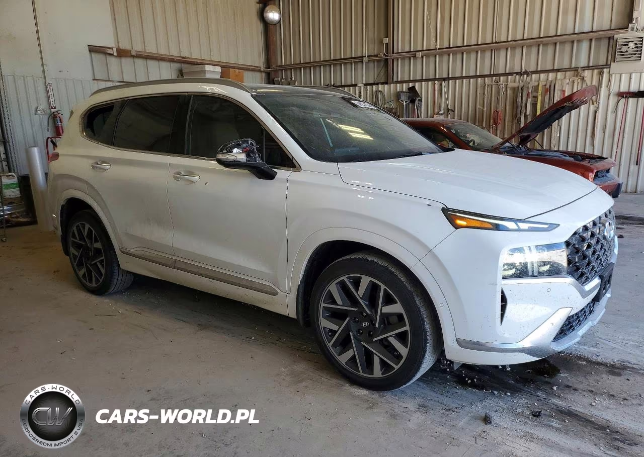 2023 Hyundai Santa Fe Calligraphy VIN:5NMS54AL3PH554833 - 4