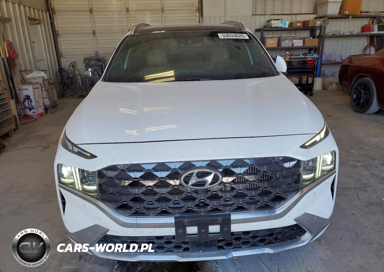 2023 Hyundai Santa Fe Calligraphy VIN:5NMS54AL3PH554833 - 5