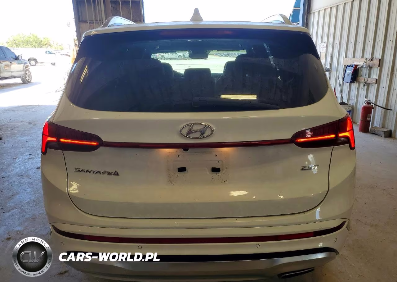 2023 Hyundai Santa Fe Calligraphy VIN:5NMS54AL3PH554833 - 6