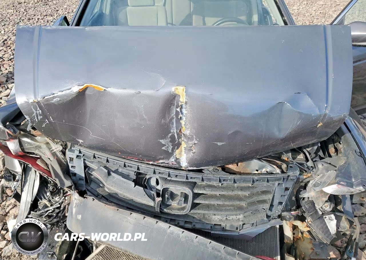 2009 Honda Accord Lx VIN:1HGCP26329A187787 - 11