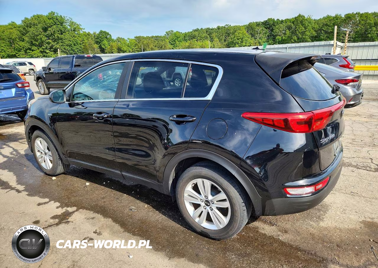 2019 Kia Sportage Lx VIN:KNDPMCAC5K7508844 - 2