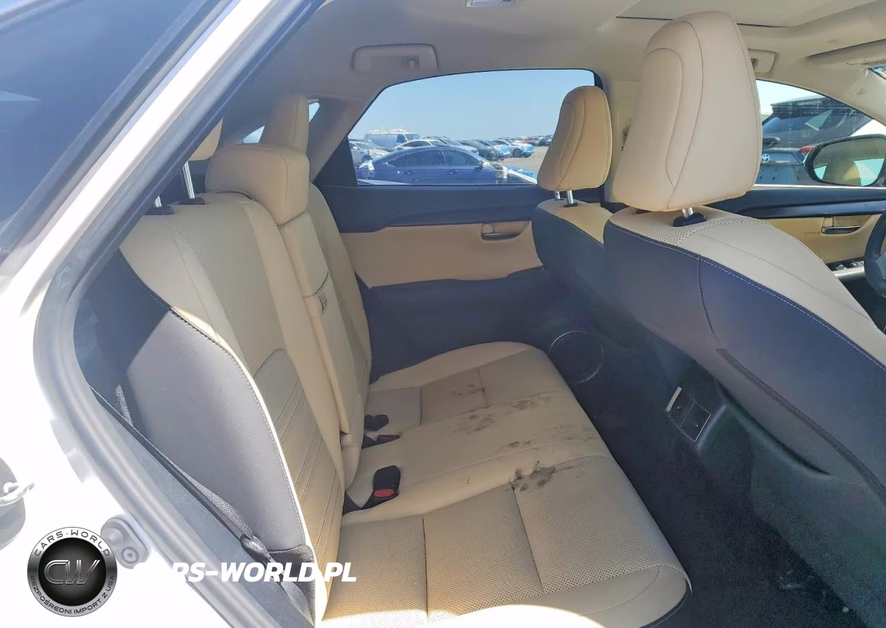 2018 Lexus Nx 300H VIN:JTJBJRBZ4J2085059 - 11