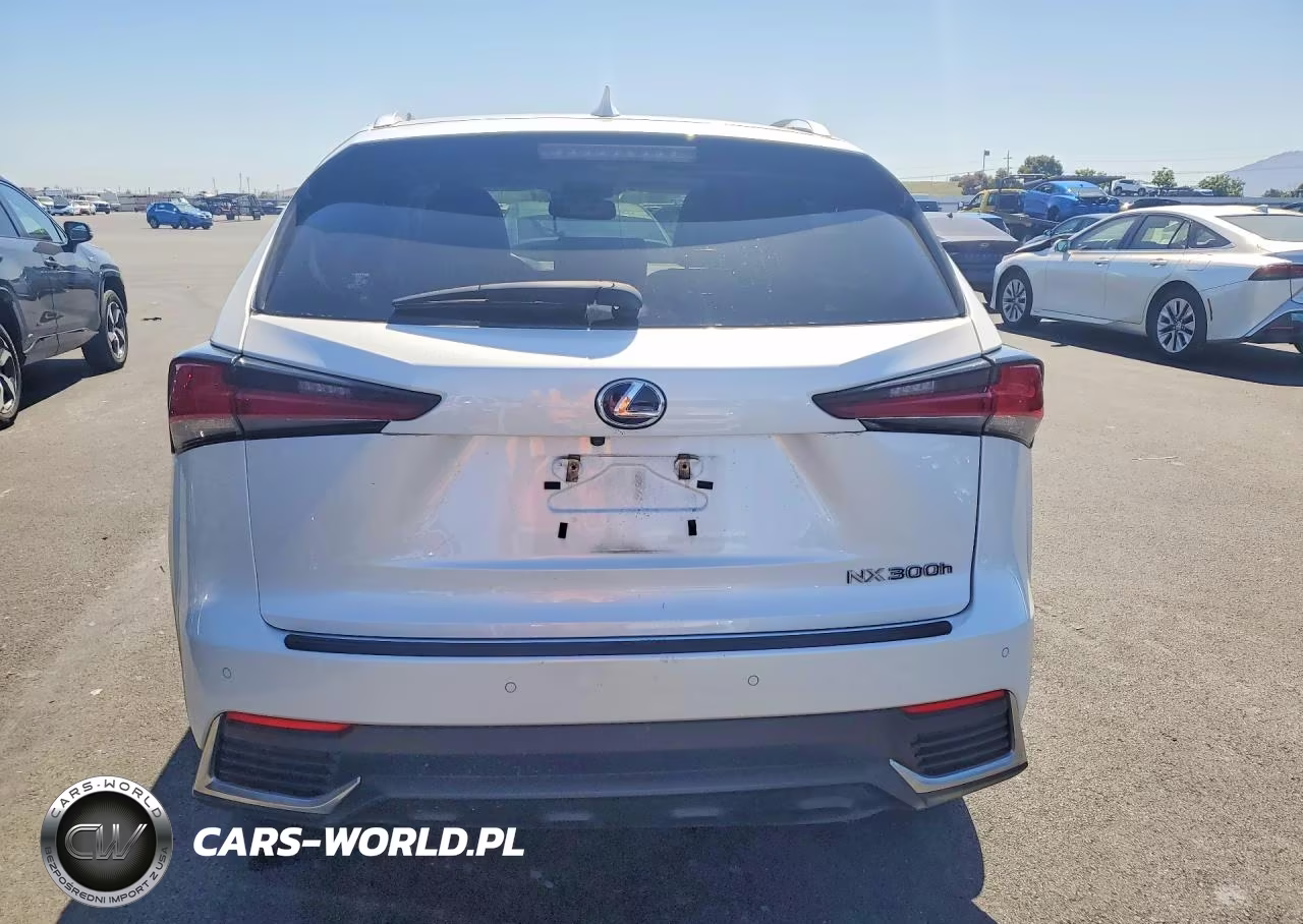 2018 Lexus Nx 300H VIN:JTJBJRBZ4J2085059 - 6