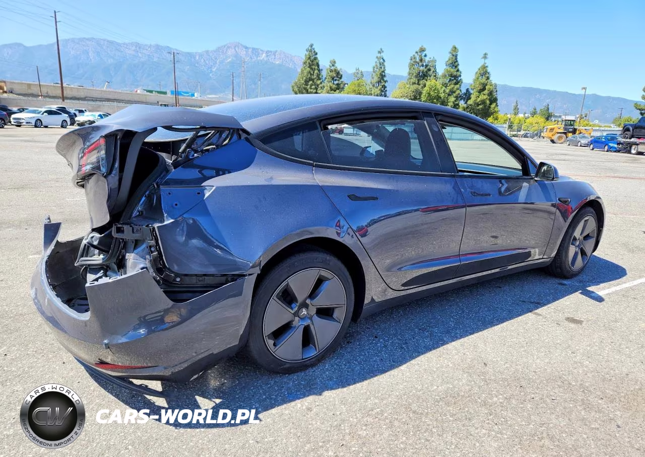 2023 Tesla Model 3 VIN:5YJ3E1EA2PF622262 - 3