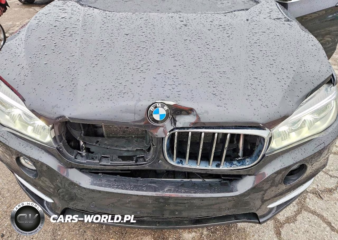 2016 BMW X5 xDrive35I VIN:5UXKR0C5XG0P30190 - 12