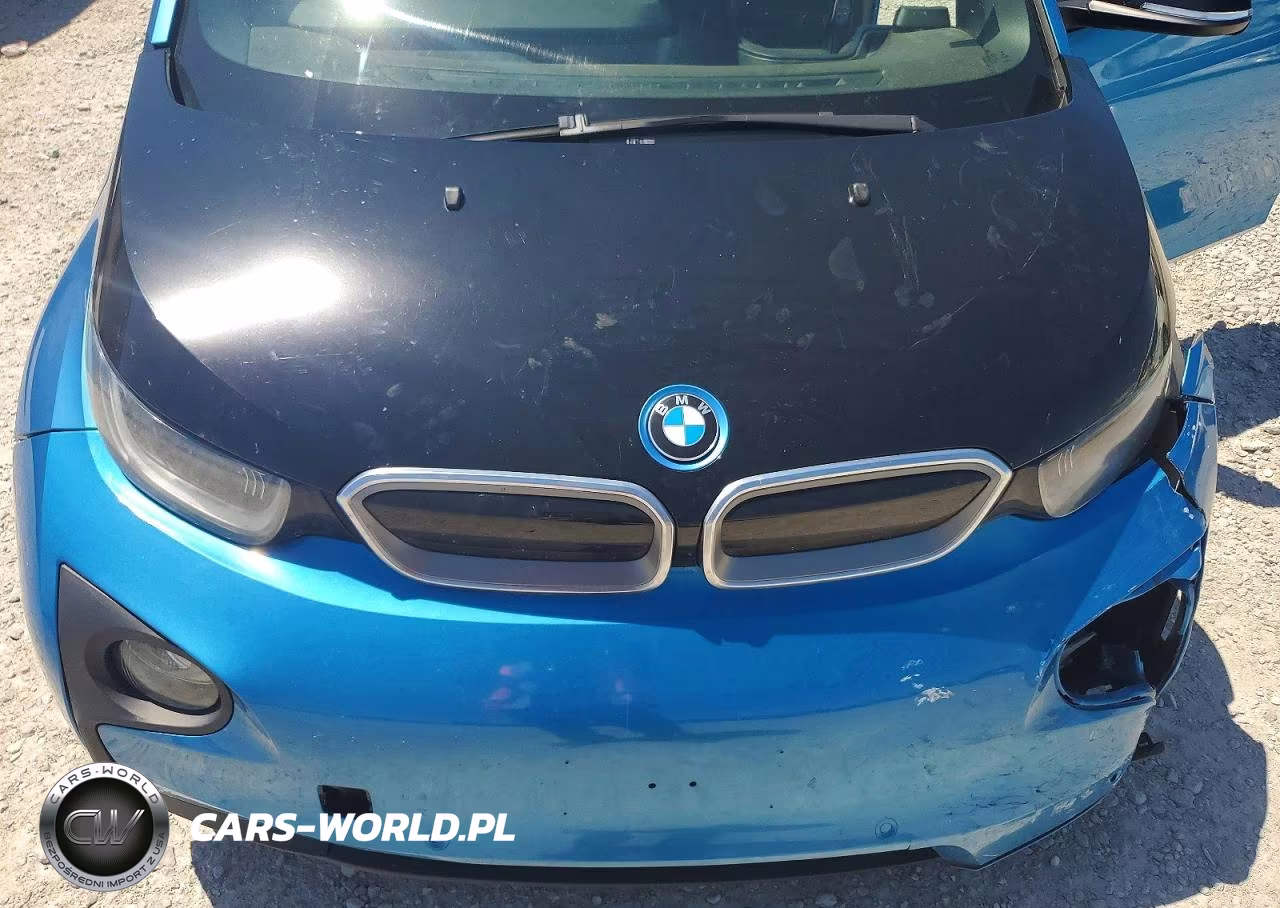2017 BMW I3 Rex VIN:WBY1Z8C55HV889553 - 12