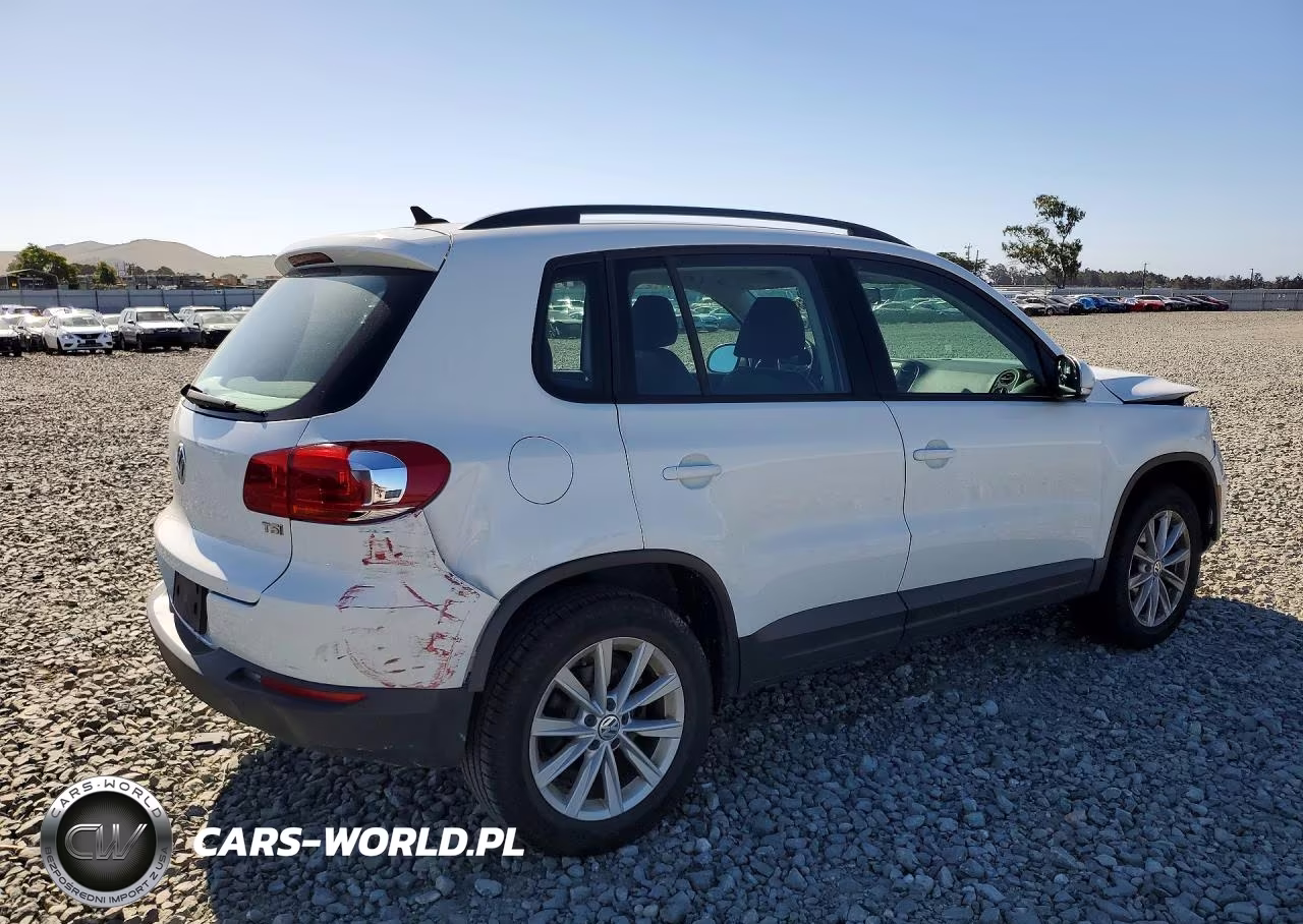 2017 Volkswagen Tiguan S VIN:WVGAV7AX3HK042796 - 3