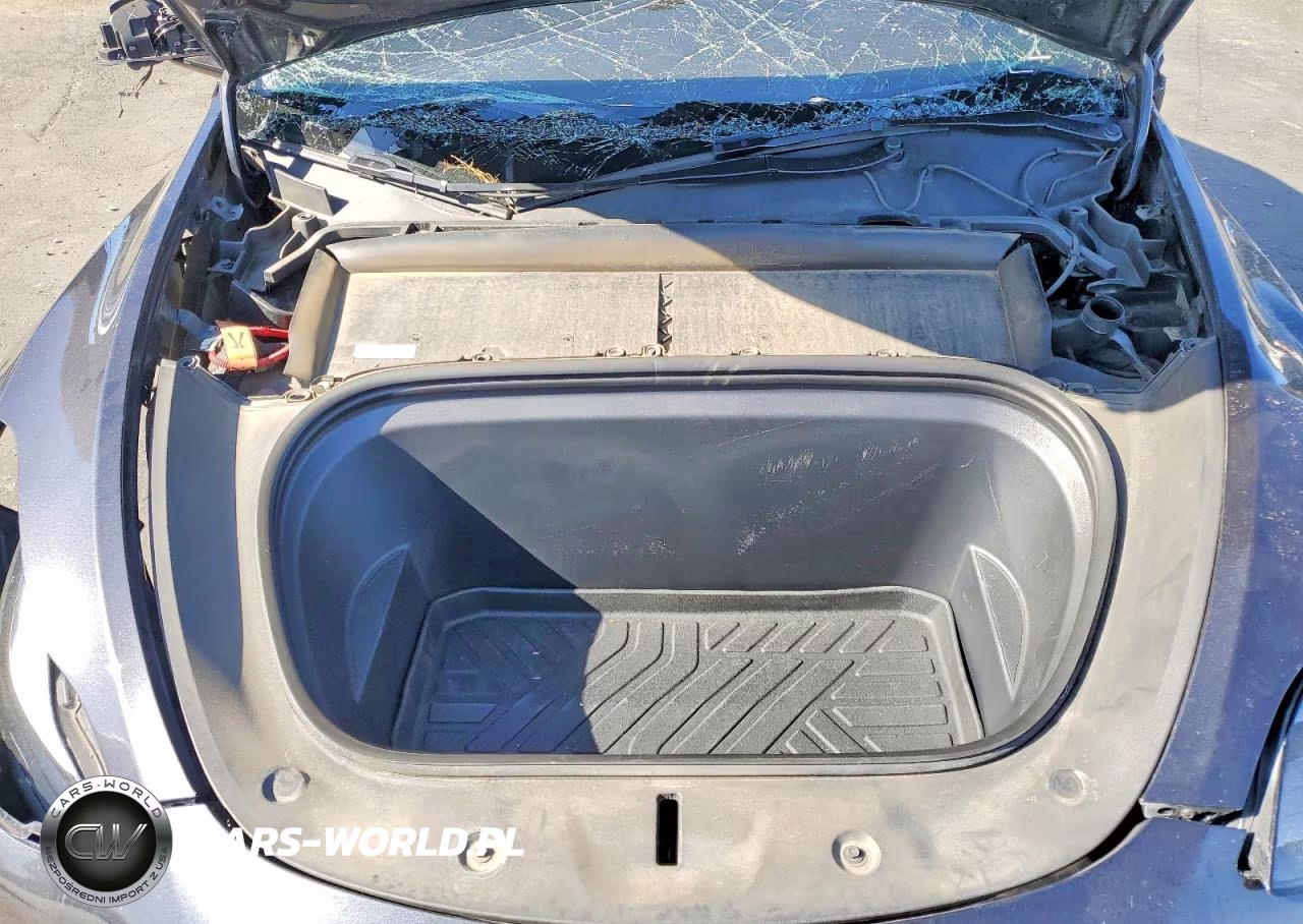 2024 Tesla Model Y VIN:7SAYGDED3RF103724 - 11