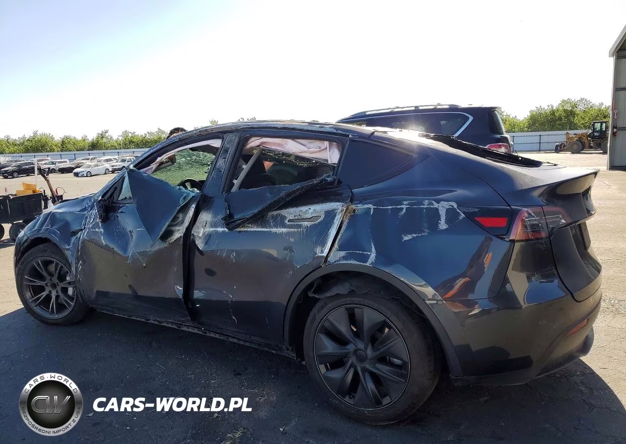 2024 Tesla Model Y VIN:7SAYGDED3RF103724 - 2