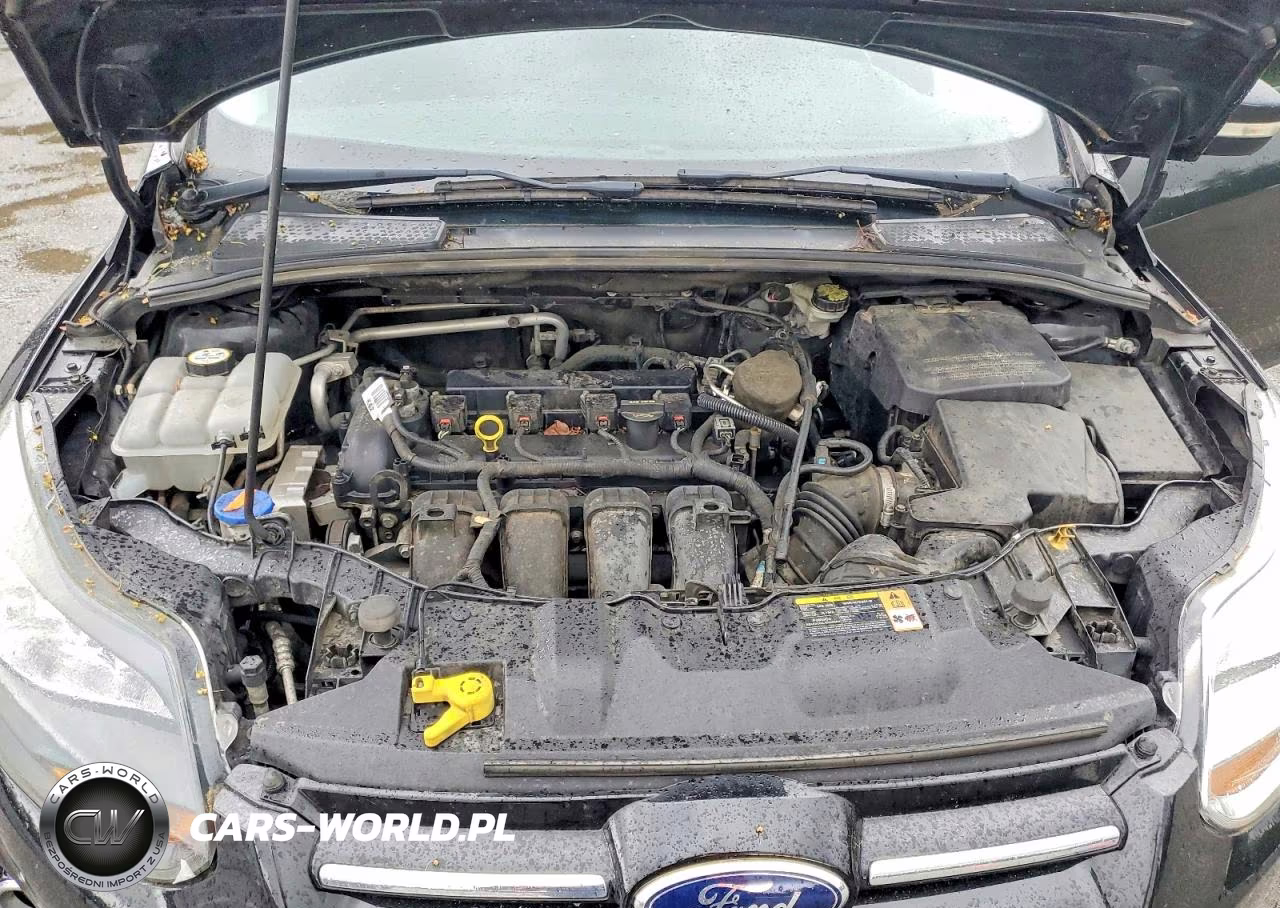 2013 Ford Focus Titanium VIN:1FADP3N23DL382849 - 12