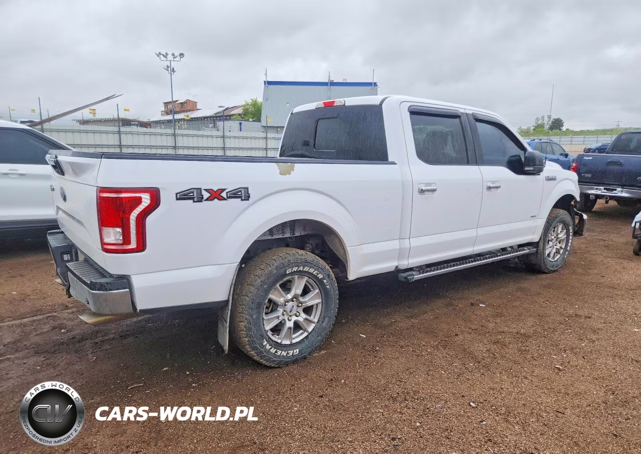 2016 Ford F150 Supercrew VIN:1FTFW1EG8GKE65483 - 3