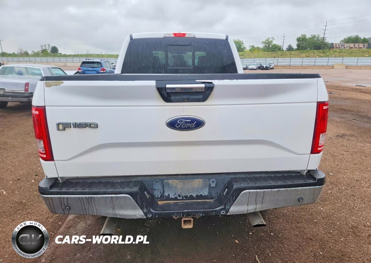 2016 Ford F150 Supercrew VIN:1FTFW1EG8GKE65483 - 6