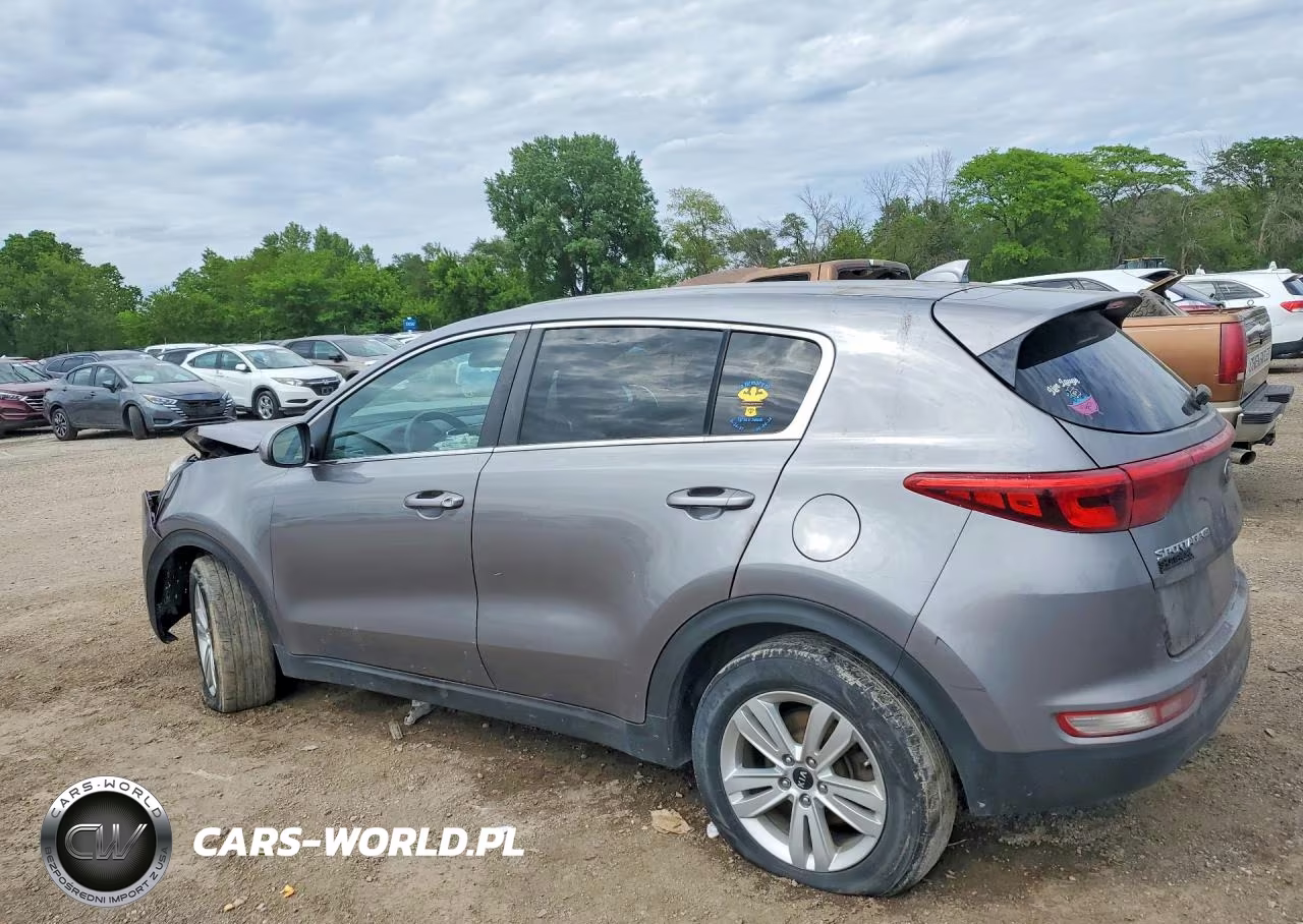 2019 Kia Sportage Lx VIN:KNDPM3ACXK7548370 - 2