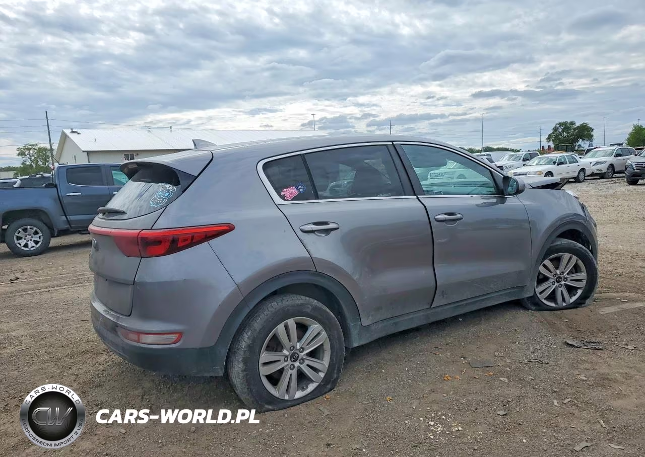 2019 Kia Sportage Lx VIN:KNDPM3ACXK7548370 - 3