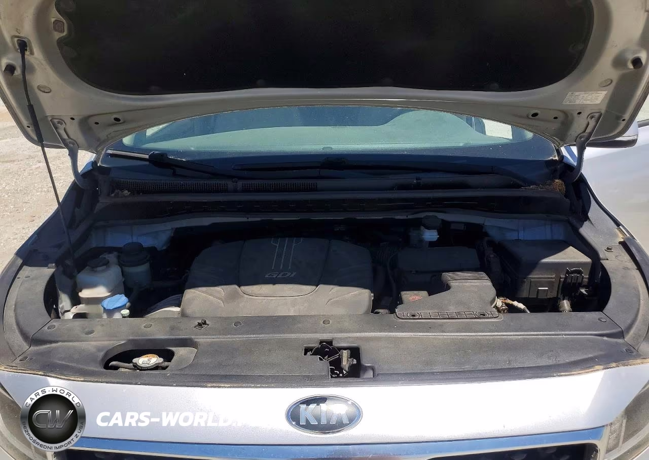 2016 Kia Sedona Lx VIN:KNDMB5C18G6163208 - 12