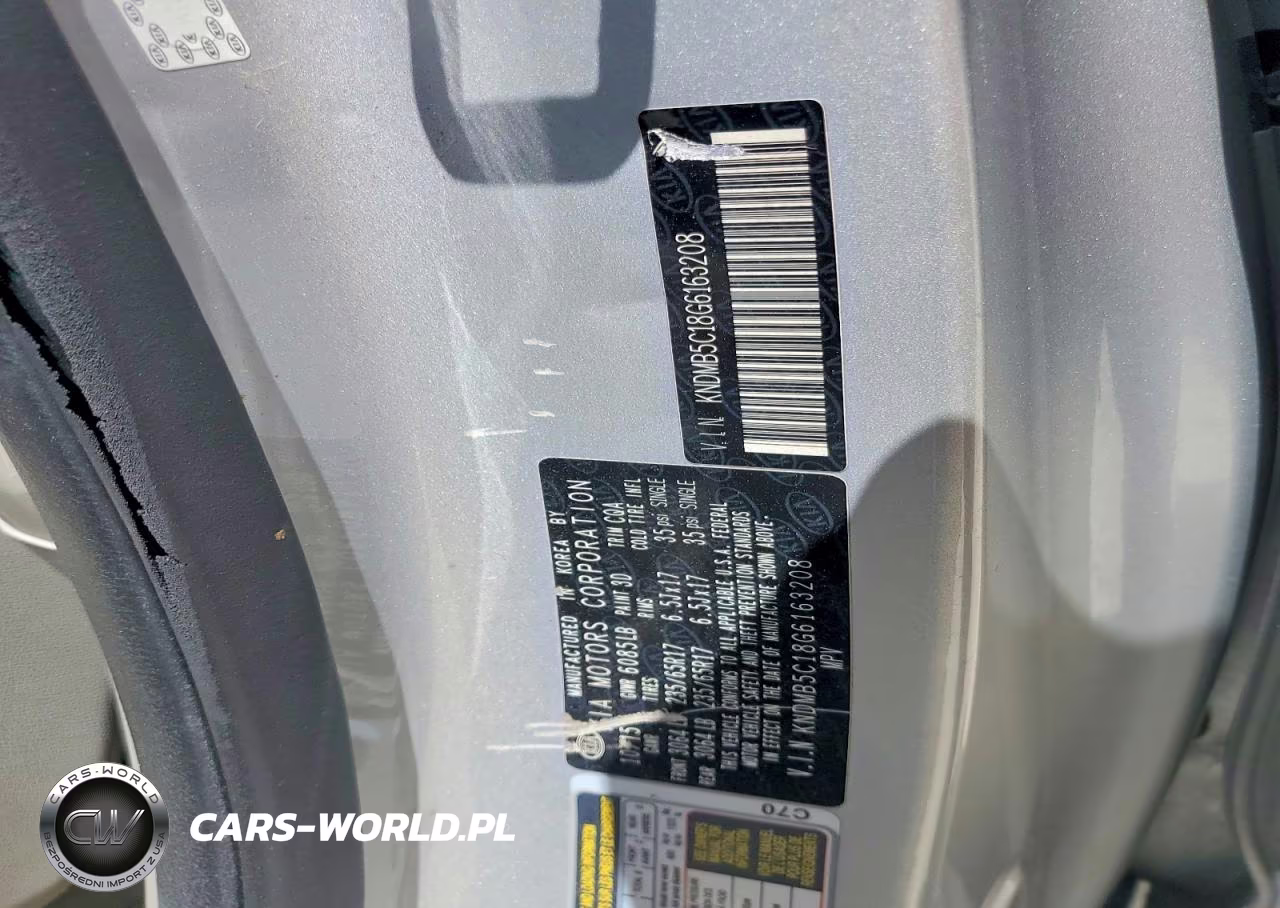 2016 Kia Sedona Lx VIN:KNDMB5C18G6163208 - 13