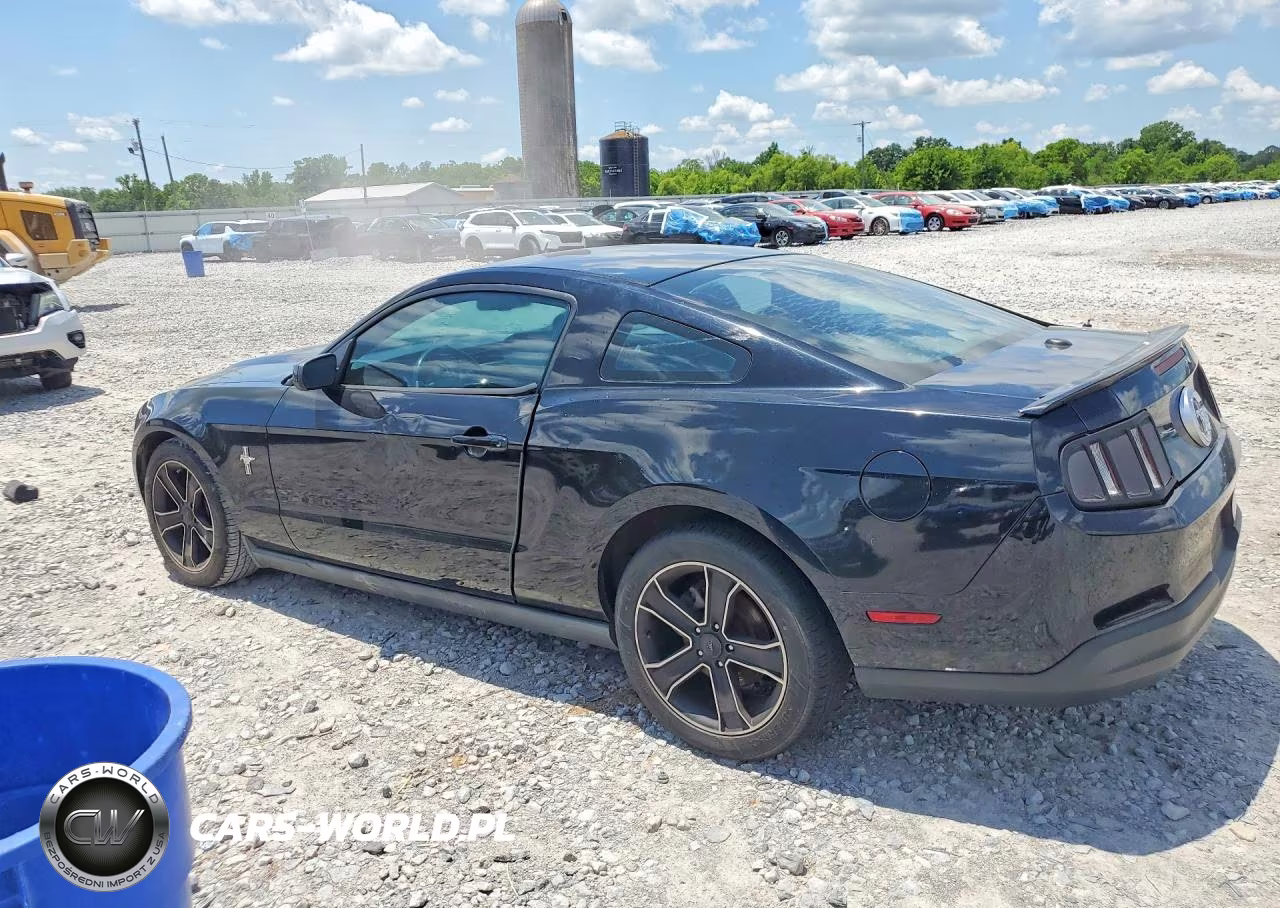 2010 Ford Mustang VIN:1ZVBP8AN3A5172893 - 2
