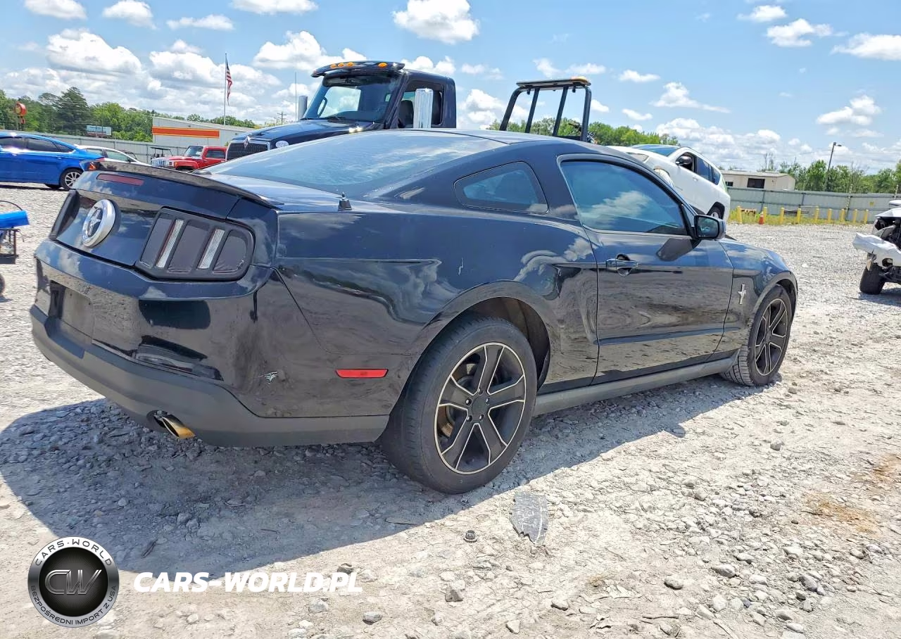 2010 Ford Mustang VIN:1ZVBP8AN3A5172893 - 3
