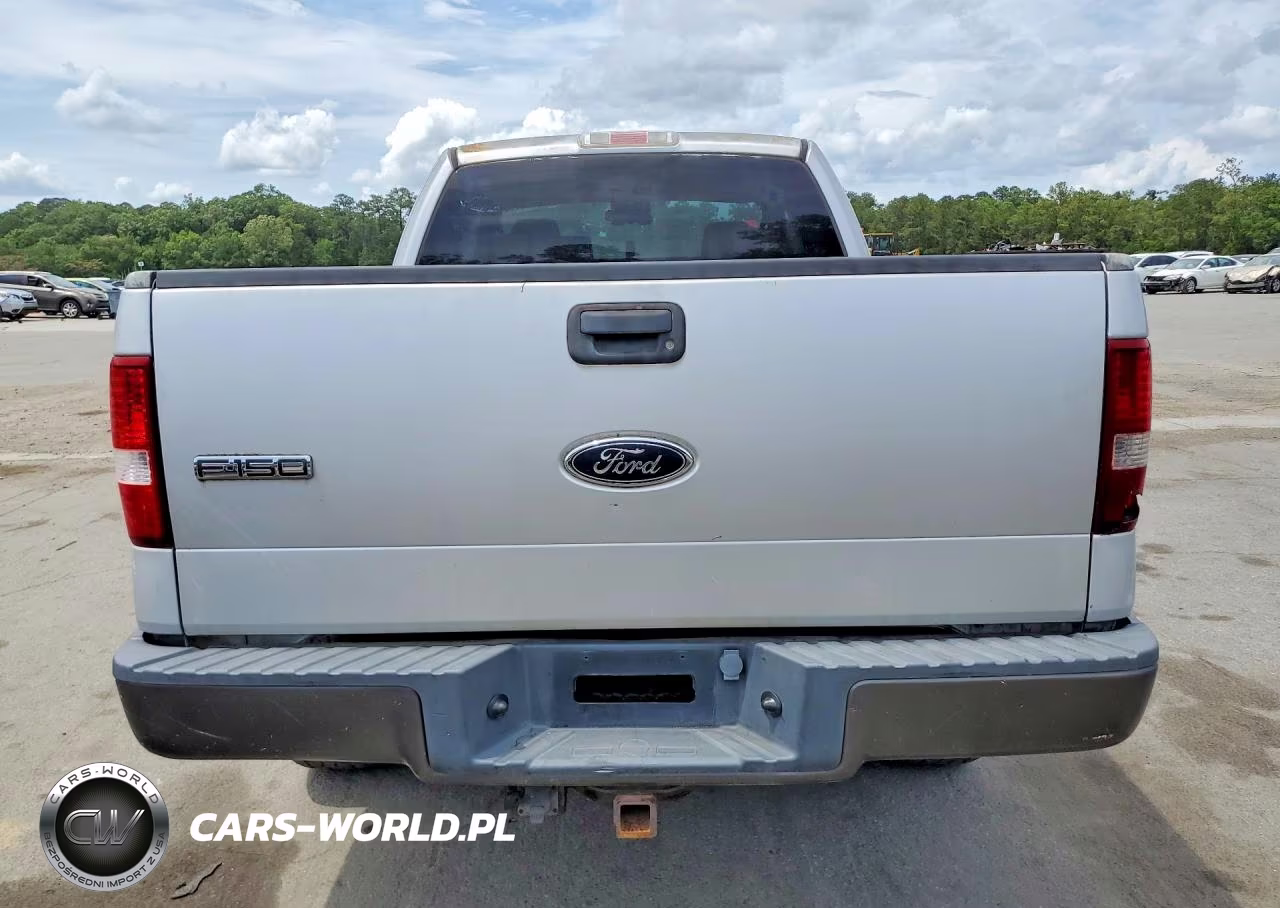 2004 Ford F150 VIN:1FTPX14524NB59701 - 6