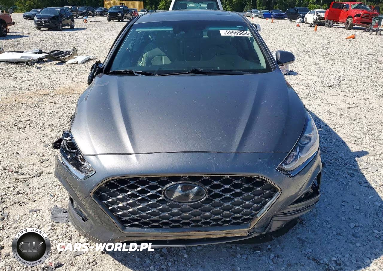 2019 Hyundai Sonata Limited VIN:5NPE34AF1KH804059 - 5