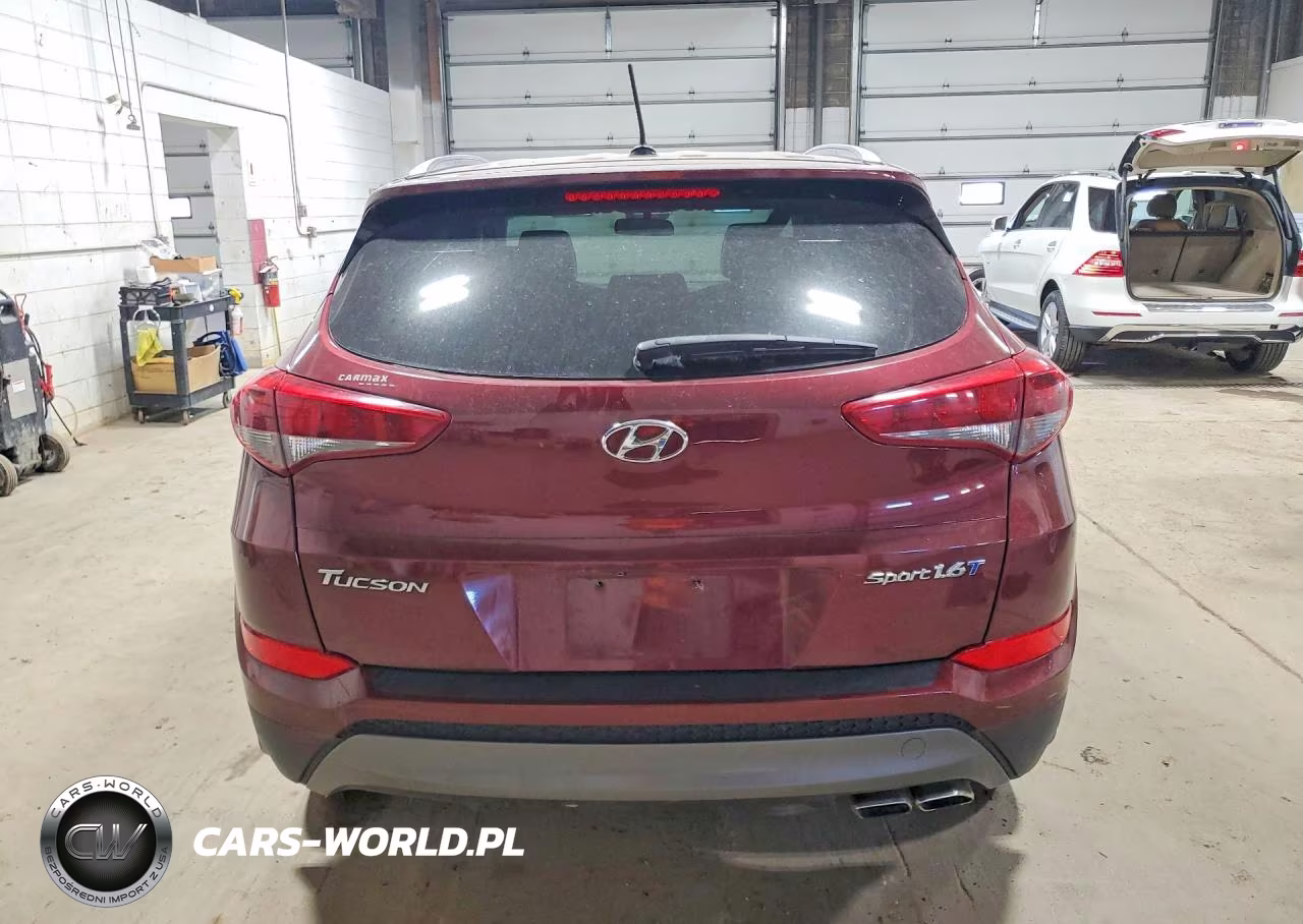 2016 Hyundai Tucson Sport VIN:KM8J33A20GU224722 - 6