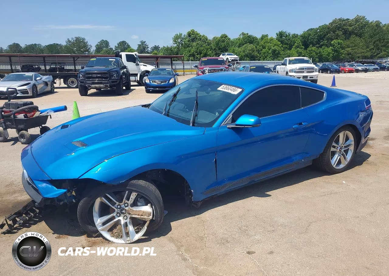 2019 Ford Mustang