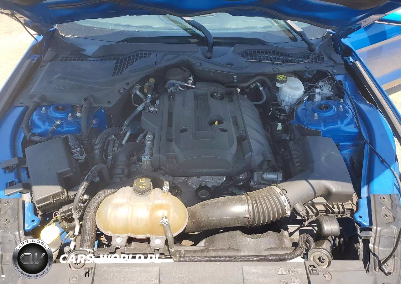 2019 Ford Mustang VIN:1FA6P8TH4K5187325 - 11