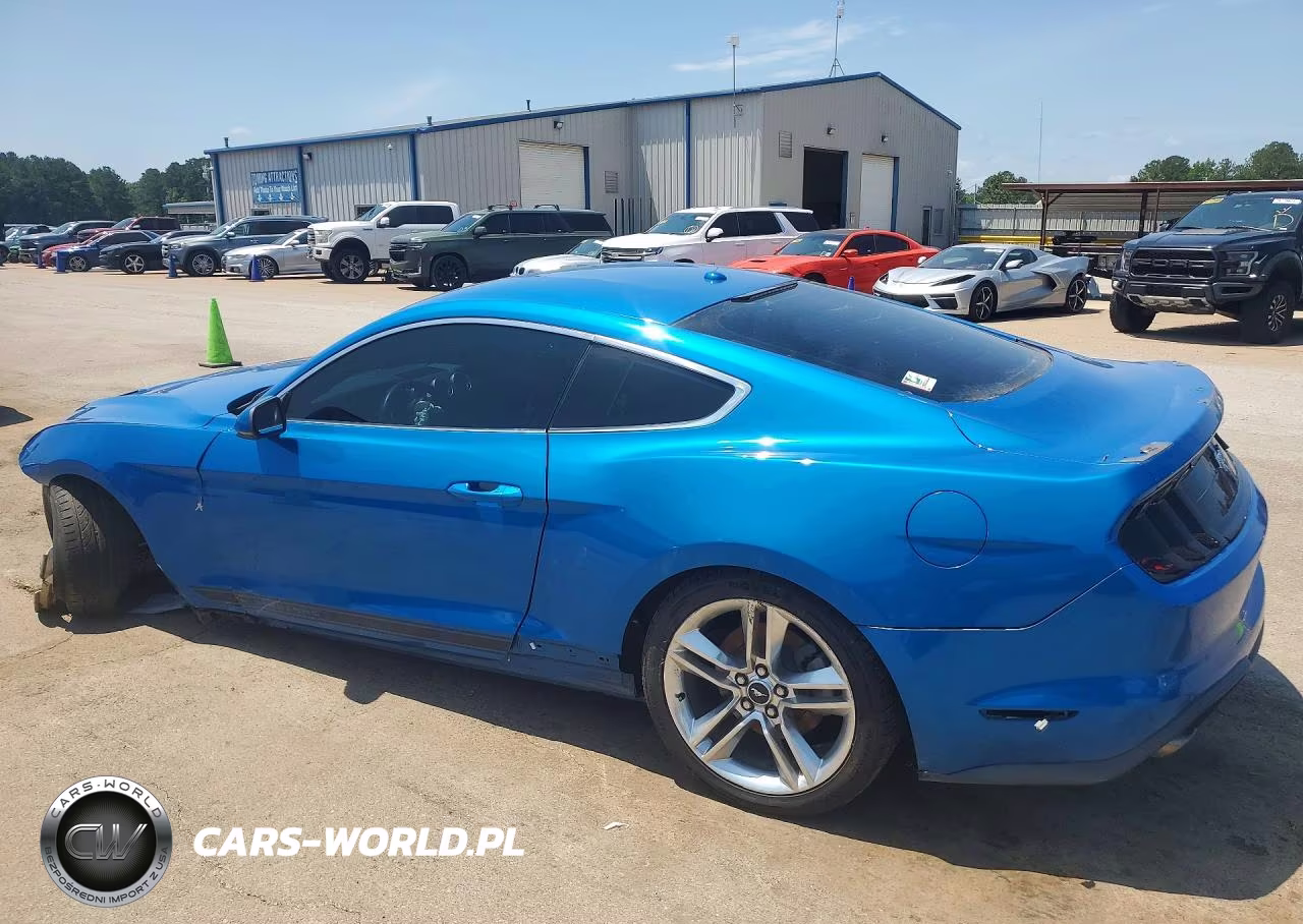 2019 Ford Mustang VIN:1FA6P8TH4K5187325 - 2