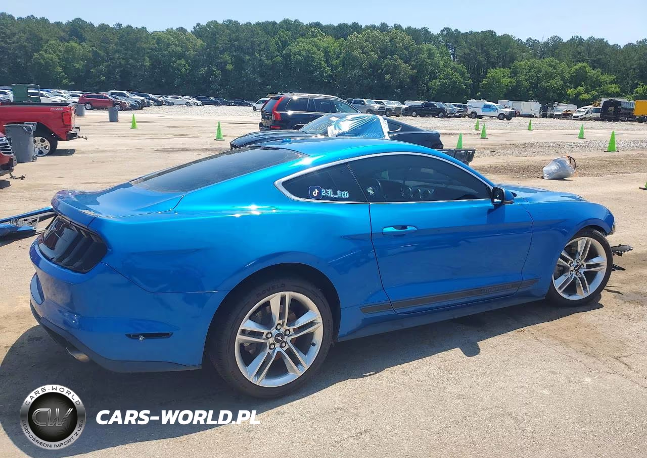 2019 Ford Mustang VIN:1FA6P8TH4K5187325 - 3