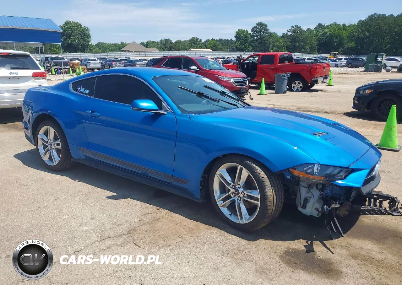 2019 Ford Mustang VIN:1FA6P8TH4K5187325 - 4