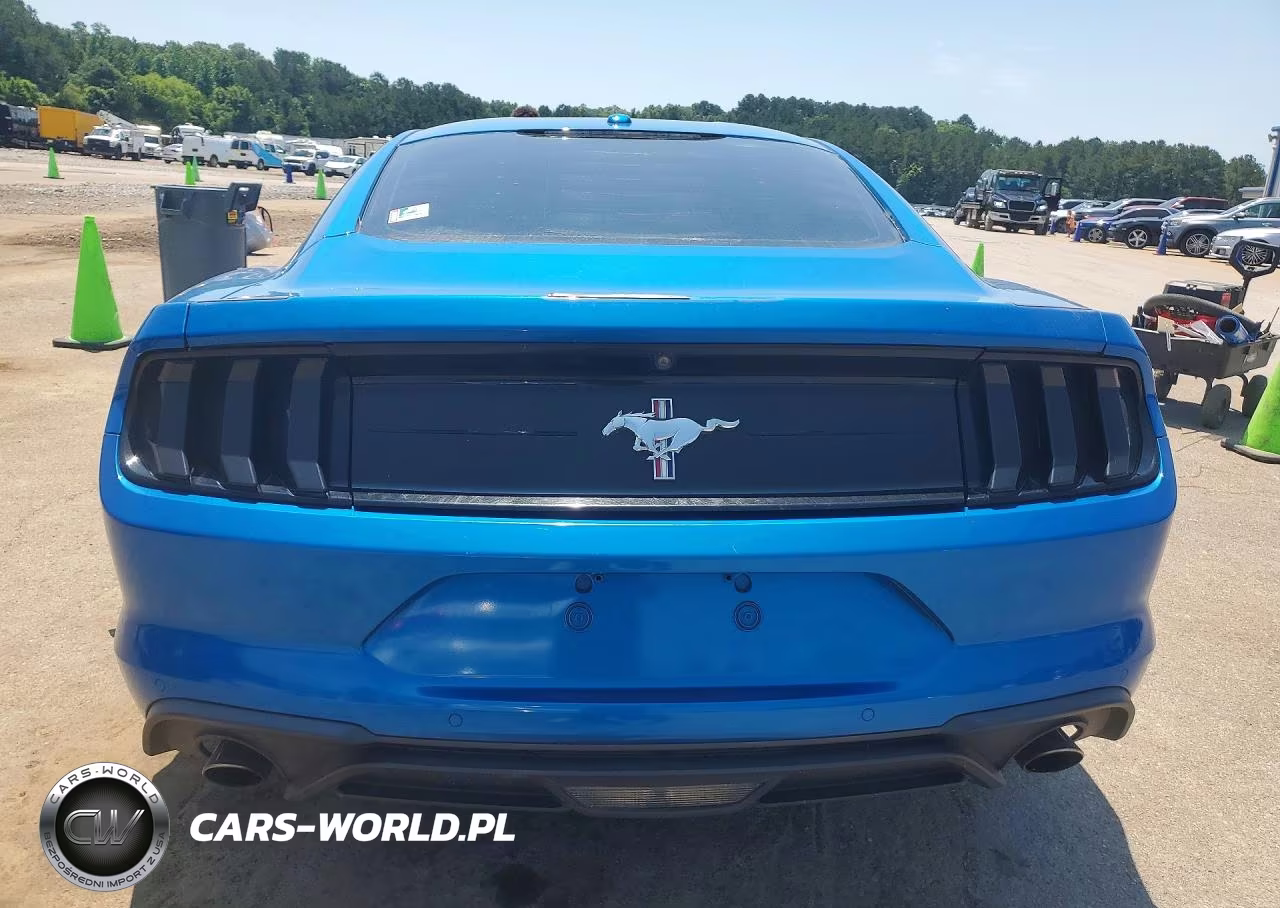2019 Ford Mustang VIN:1FA6P8TH4K5187325 - 6