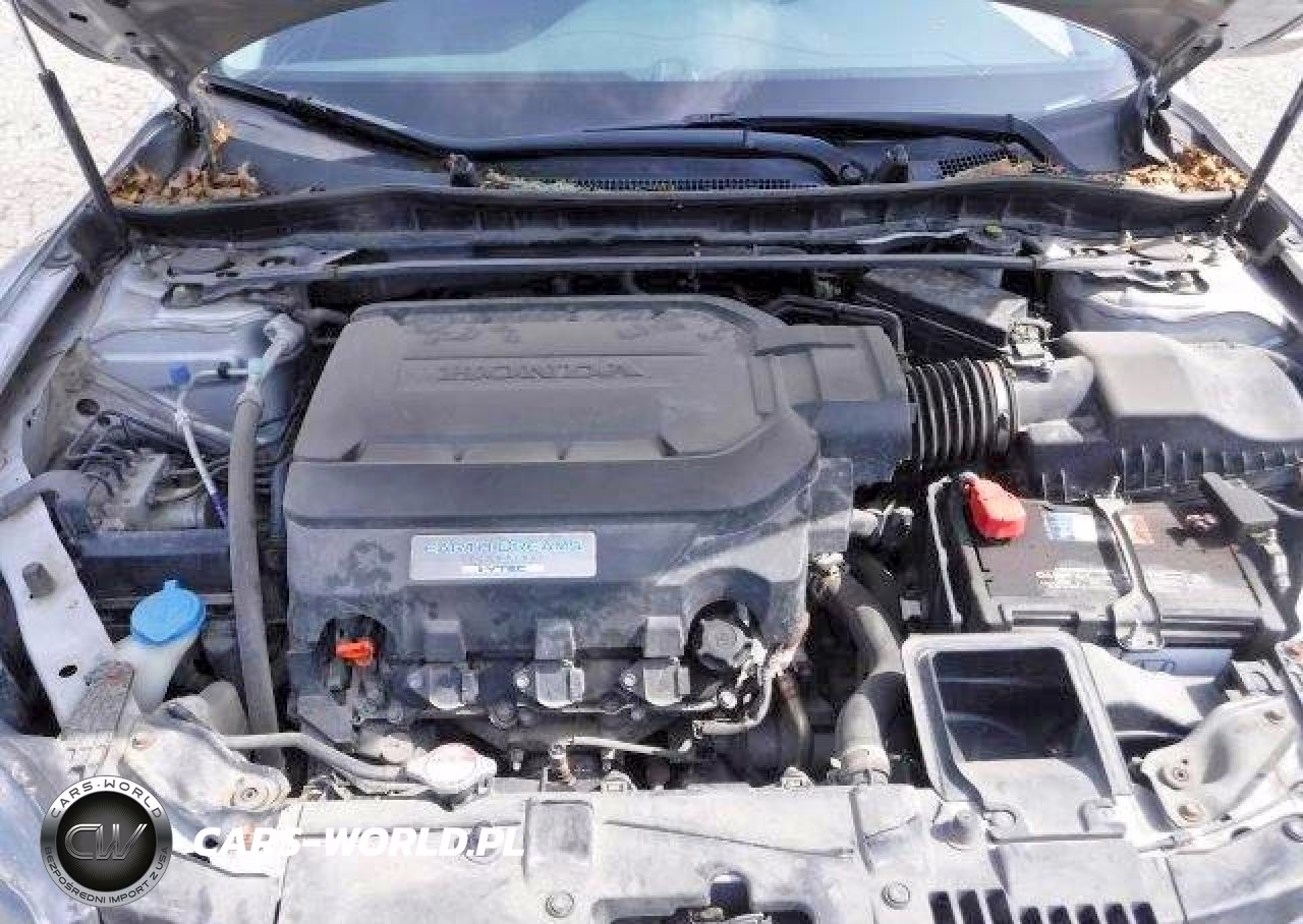 2013 Honda Accord Exl VIN:1HGCT2B89DA000180 - 11