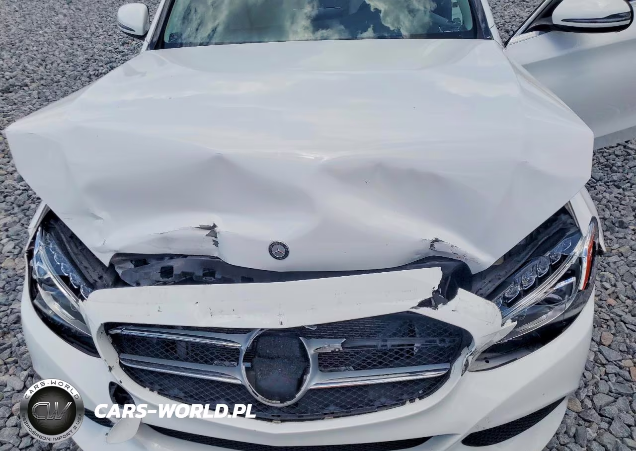 2017 Mercedes-Benz C 300 VIN:55SWF4JB5HU221606 - 11