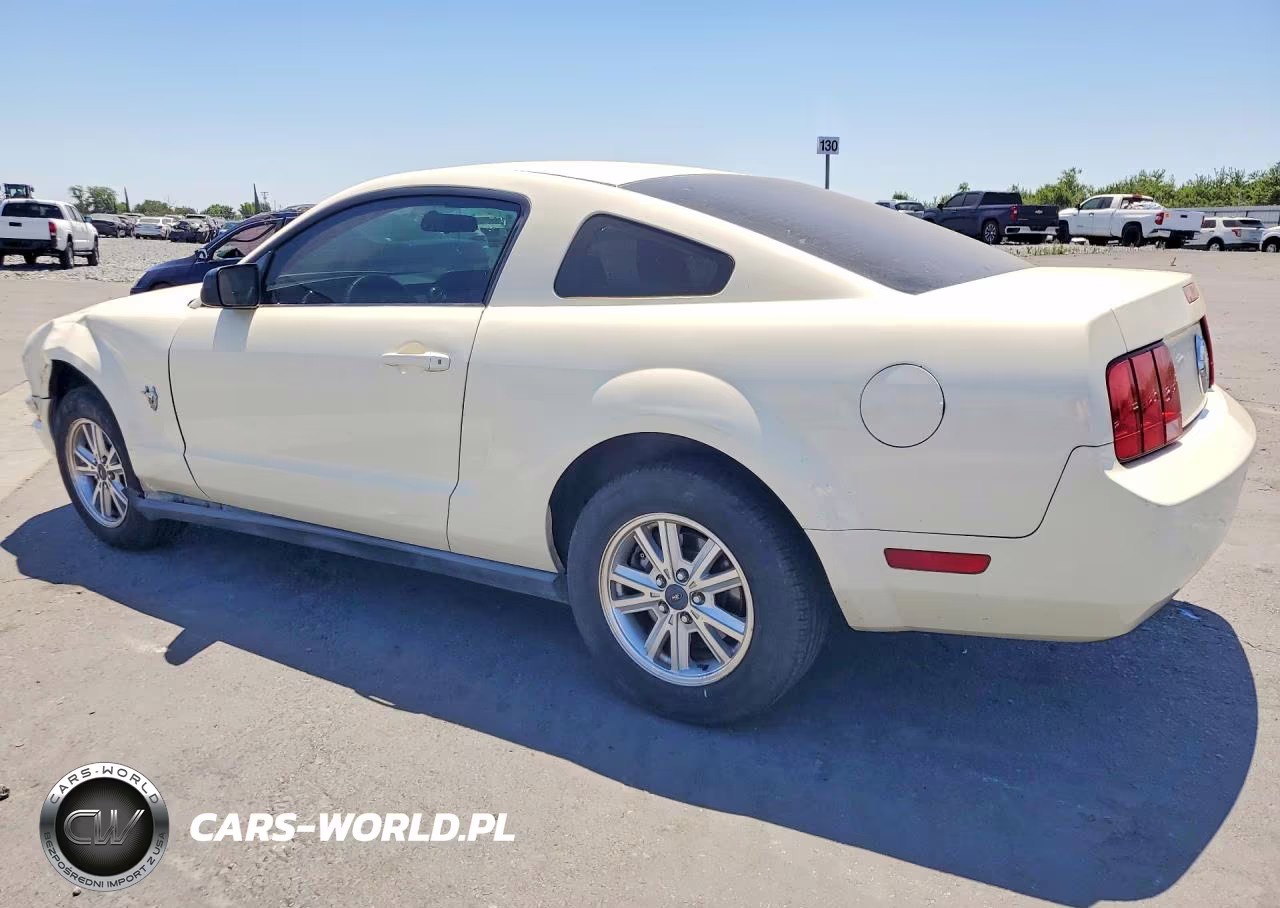 2009 Ford Mustang VIN:1ZVHT80N195142648 - 2