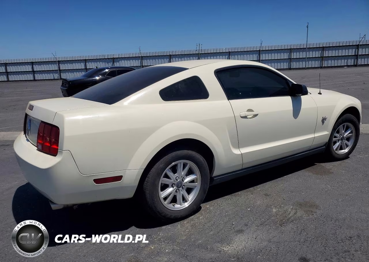 2009 Ford Mustang VIN:1ZVHT80N195142648 - 3