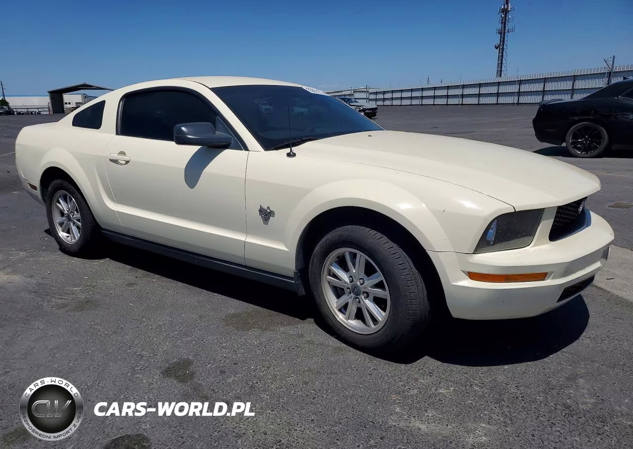 2009 Ford Mustang VIN:1ZVHT80N195142648 - 4