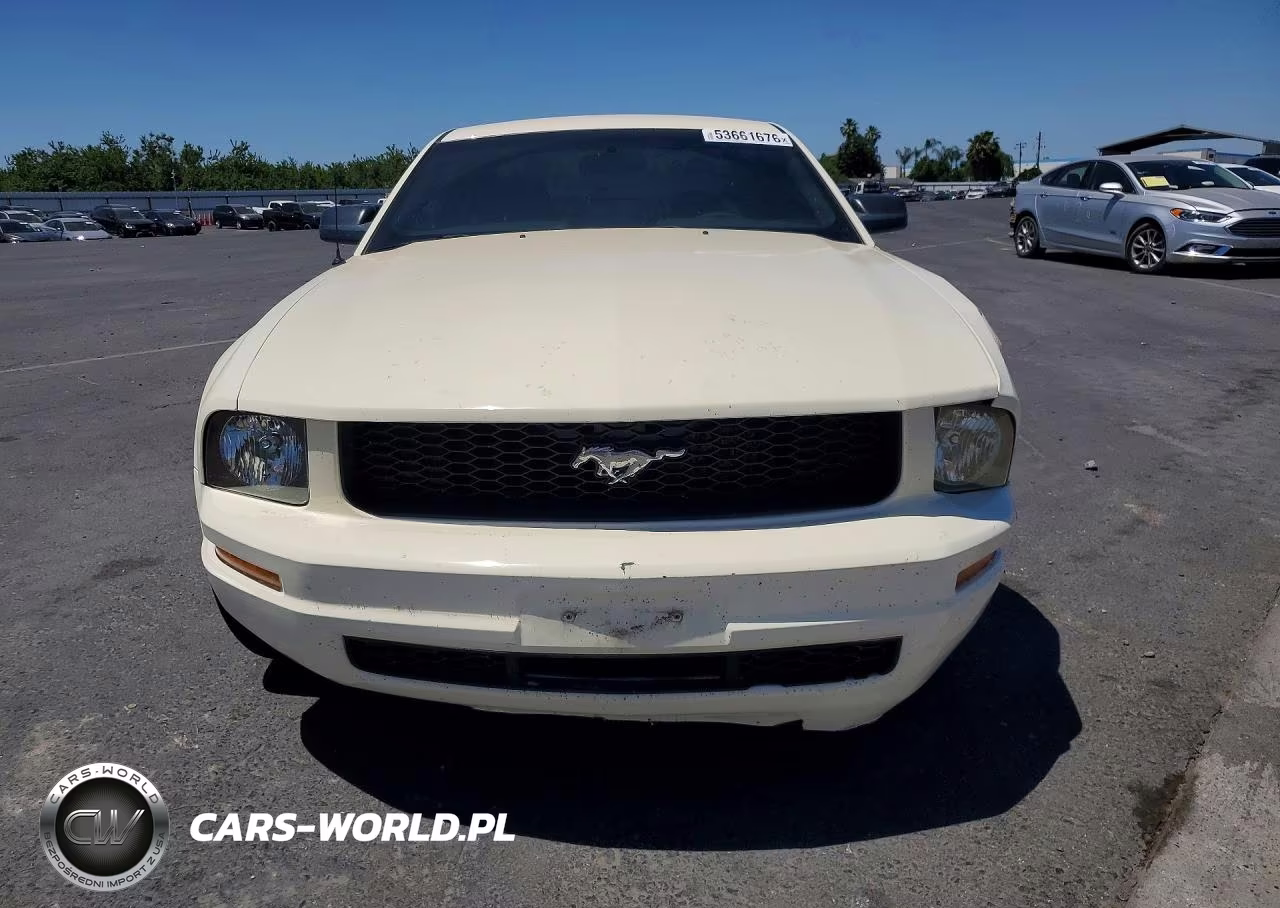 2009 Ford Mustang VIN:1ZVHT80N195142648 - 5
