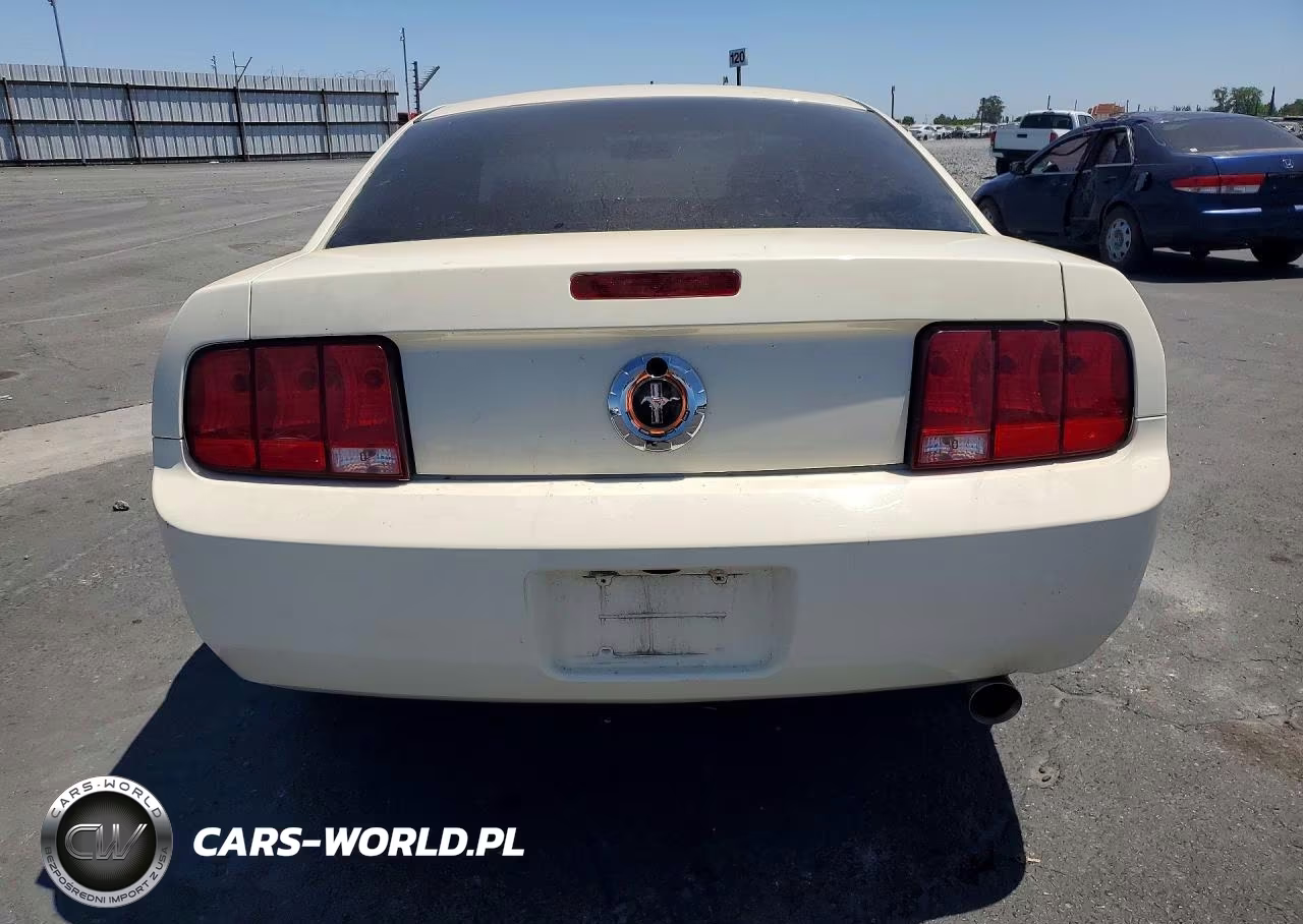 2009 Ford Mustang VIN:1ZVHT80N195142648 - 6