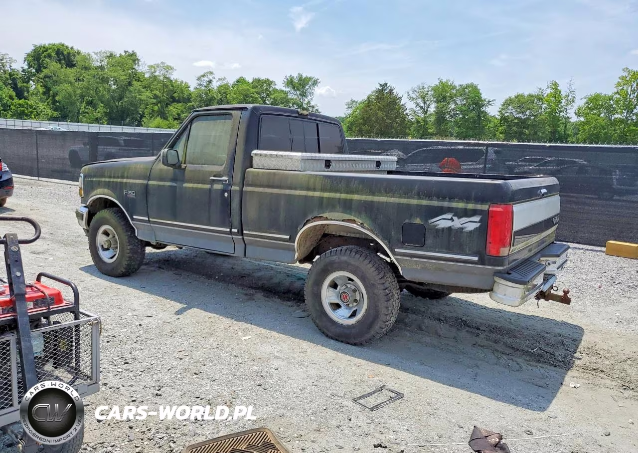 1992 Ford F-150 VIN:1FTEF14N8NNA89892 - 2