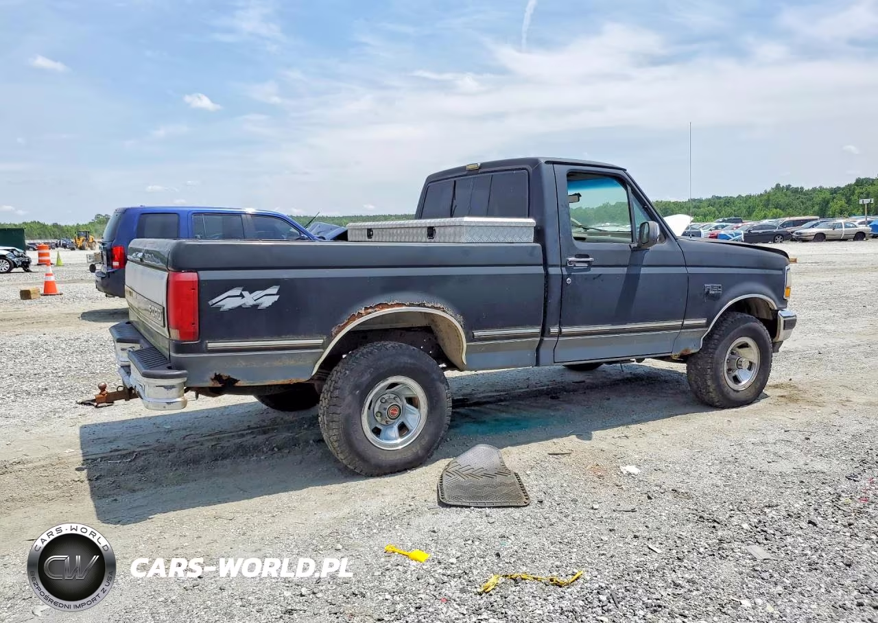 1992 Ford F-150 VIN:1FTEF14N8NNA89892 - 3