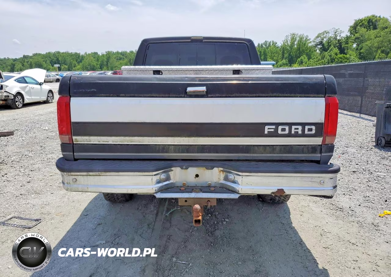 1992 Ford F-150 VIN:1FTEF14N8NNA89892 - 6