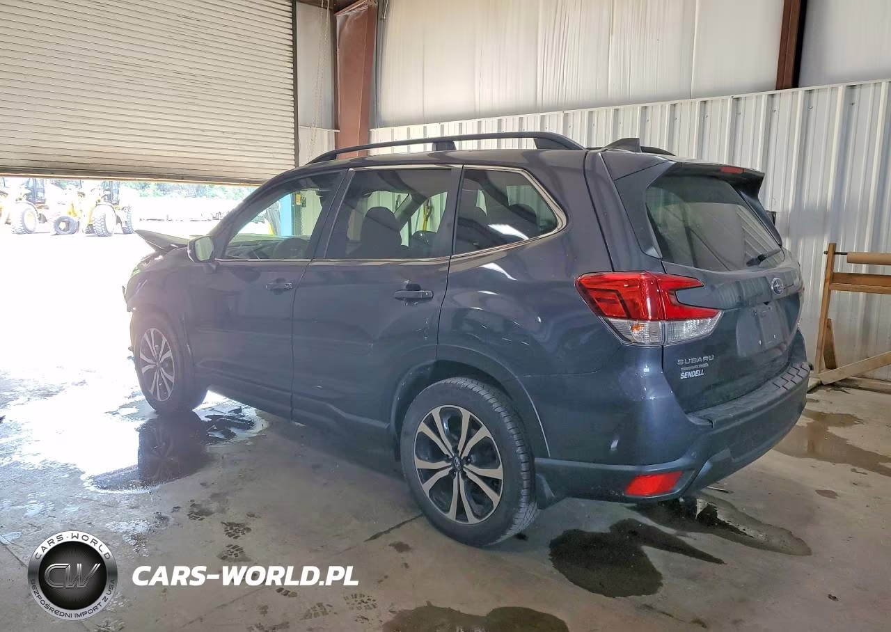 2020 Subaru Forester Limited VIN:JF2SKAUCXLH464580 - 2