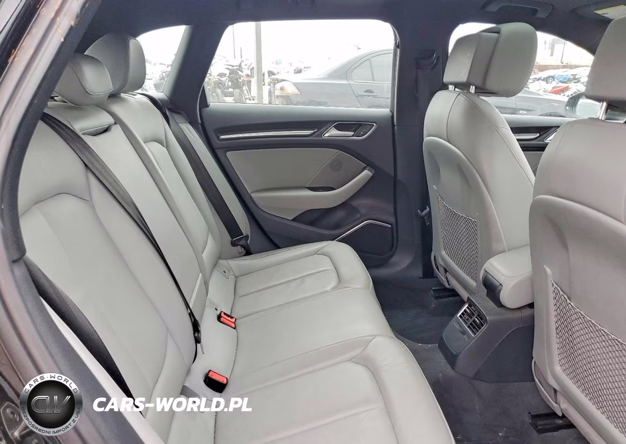 2018 Audi A3 E-Tron Premium Plus VIN:WAUTPBFFXJA083770 - 10