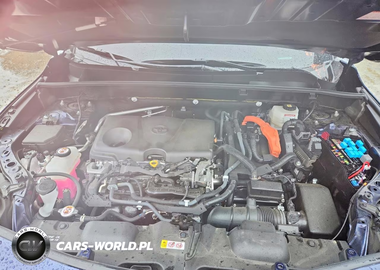 2021 Toyota Venza Xle VIN:JTEAAAAH2MJ014098 - 12