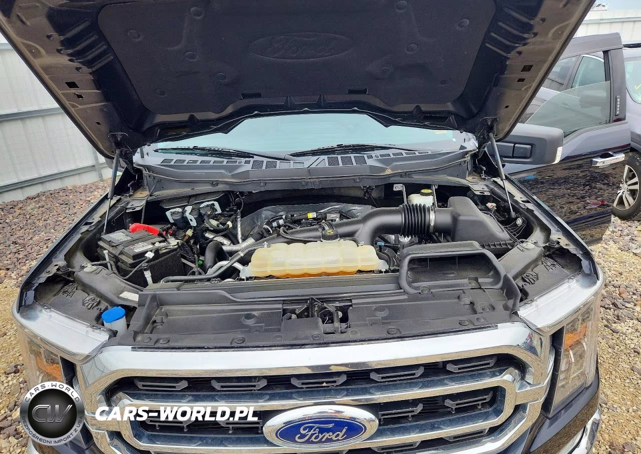 2022 Ford F150 Supercrew VIN:1FTEW1EP6NKD72874 - 11