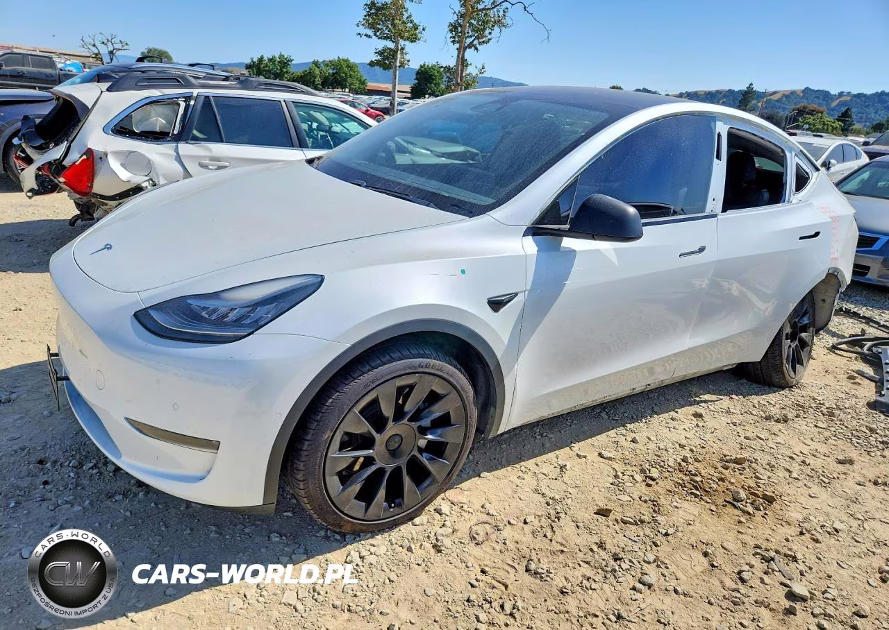 2020 Tesla Model Y