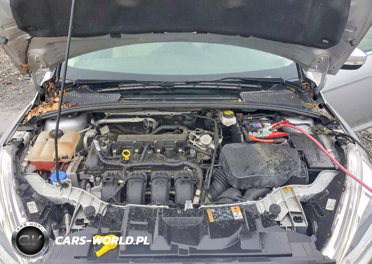2018 Ford Focus Titanium VIN:1FADP3N27JL271877 - 11