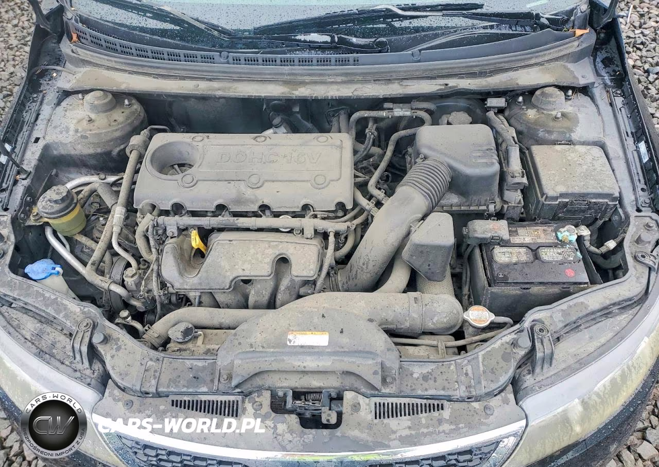 2012 Kia Forte Ex VIN:KNAFU4A29C5602146 - 11